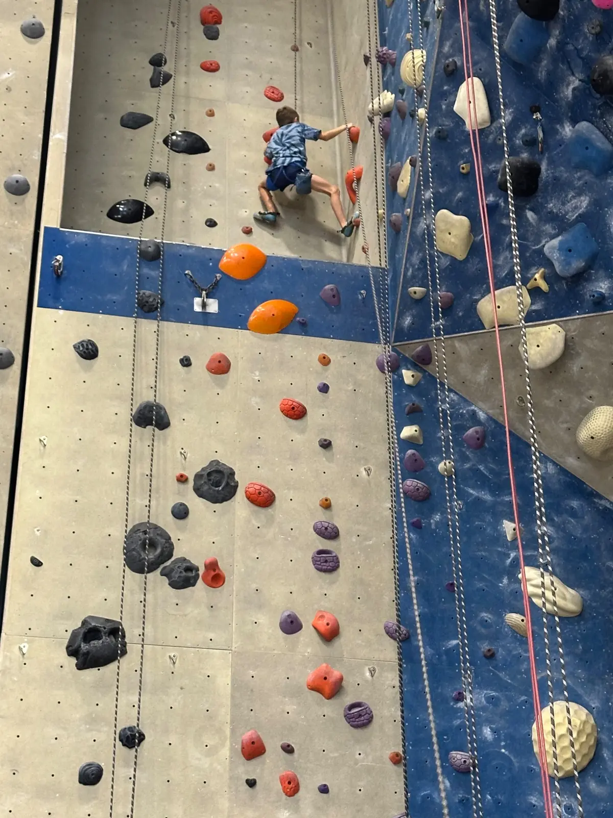 Leo reaching for the next hold